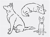Herder Duitse Pastore Tedesco Hund Schäferhund Disegno Tatoeageonwerpen Craftwhack Deutscher Shepherds Tweet sketch template