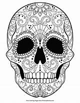 Coloring Sugar Skull Pages Halloween Skulls Colouring Adult Printable Book Adults Mandala Books Ebook Word Dead Tattoo Primarygames Witch Zentangles sketch template