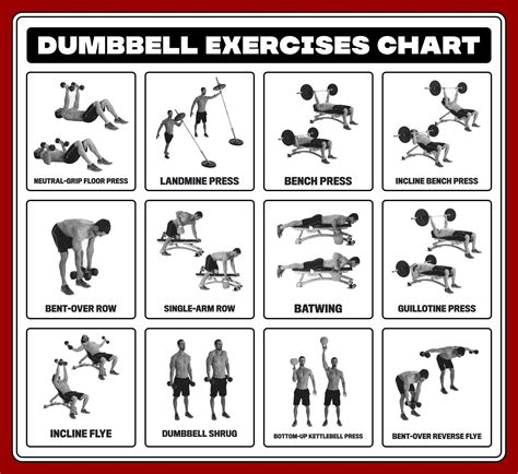 printable dumbbell workout  printable word searches