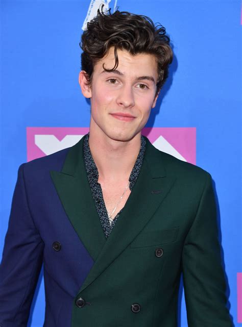 shawn mendes   mtv video  awards red carpet shawn mendes suit   vmas