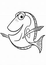 Nemo Dory Colorear Aquarium Findet Procurando Malvorlagen Polochon Colouring Fische Ausmalen Cuadernos Páginas Minions Animalitos Sobres sketch template
