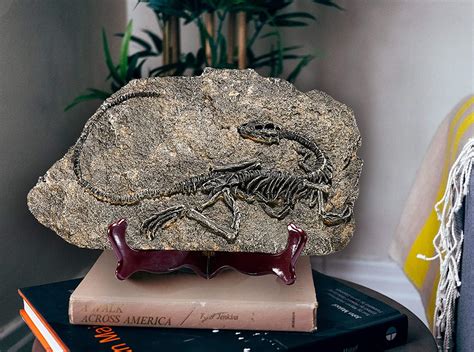 lagom house resin fossils dinosaur model dinosaur fossil replica