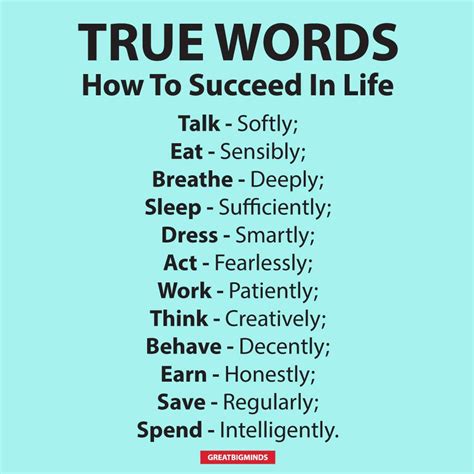 succeed  life figfilm