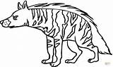Hyena Coloring Pages Printable Hyenas Animal Striped Aardwolf Scary Spotted Sheet Color Supercoloring Kids Print Gif Results Getdrawings Animals sketch template