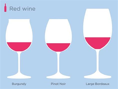 What Type Of Wine Glass Should You Be Using