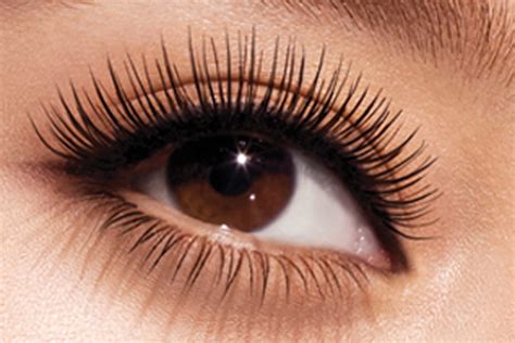 top 10 mascara chống trôi chống lem tốt nhất hiện nay toplist vn