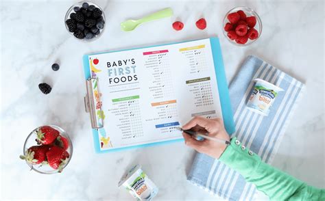 printable checklist  babys  foods tips  introducing