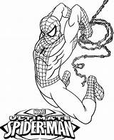 Coloring Spiderman Spider Man Ultimate Pages Books Color Print Topcoloringpages Marvel Amazing Superhero sketch template