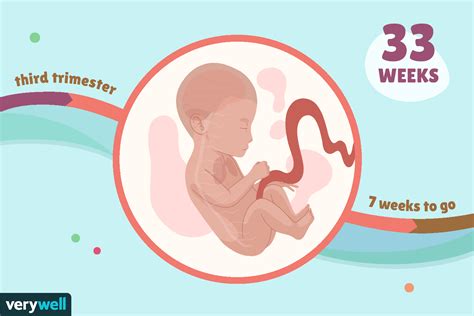 weeks pregnant baby development symptoms