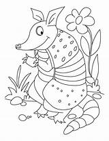Armadillo Coloring Pages Printable Sheets Armadillos Animal Book Popular Choose Board Comments sketch template