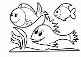 Fish Coloring Kindergarten Pages Printable Preschool Kids sketch template