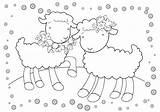 Coloring Lambs Pages sketch template