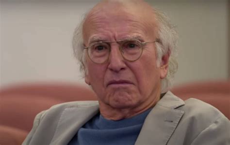 curb  enthusiasm star disliked larry david intensely   meeting