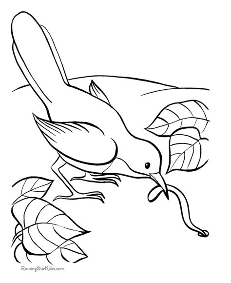 animal coloring pages birds