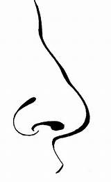 Nose Human Drawing Clipartmag Clipart sketch template