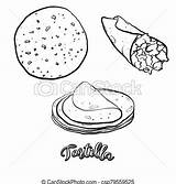 Tortilla Food Separated Sketch Drawing Illustration Vector Drawings Usually Flatbread Mexico Known Series Line sketch template