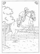 Manege Paarden Paard Ausmalen Pferde Dieren Ausmalbilder Altijd Eerst Leukste Vind Erwachsene Volwassenen Tekeningen Malvorlagen Bord sketch template