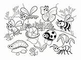 Coccinelle Maternelle Insectos Printemps Insectes Insecte Colorear Petites Betes Insect Carnivore Incroyable Plante Ohbq Modèles Enregistrée Insects Azcoloriage Papillon Bricolage sketch template