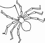 Ragno Spiders Disegno Preschoolers Oito Aranha Pata Desenho Stampare Supercoloring Coloringbay sketch template