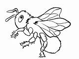 Coloring Insects Pages Kids Color Print Simple Children Printable Justcolor sketch template