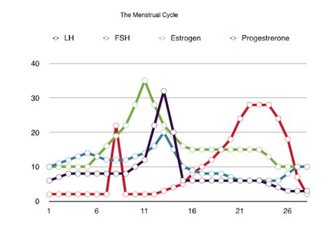 Dpapbio The Menstrual Cycle Graph