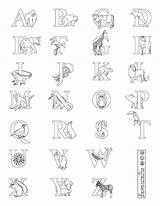 Alphabet Irepo Primecp Favecrafts 1114 sketch template