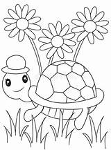 Coloring Turtle Kids Dreamstime Illustration sketch template