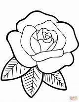 Coloring Glass Stained Rose Pages Printable Drawing sketch template
