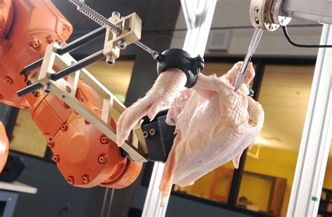 robotic system automates poultry deboning process