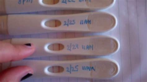 Negative First Response Ovulation Test Results Pregnancy Test