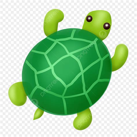 green sea turtle clipart vector green turtle animal turtle clipart