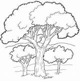 Trees Coloring Kids Color Pages Print sketch template