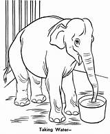 Coloring Elephant Pages Print Zoo Popular Animal sketch template