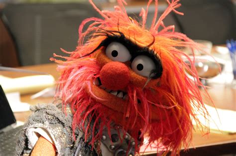 feast  eyes   exclusive  images   muppets insider