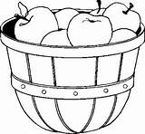 Apples Bushel Fruits Coloring Pages sketch template