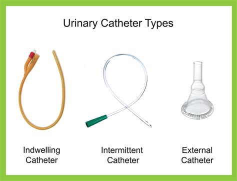 catheters   basics  urinary catheter types