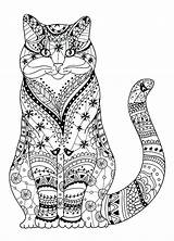 Coloring Cat Pages Real Cats Printable Realistic Getcolorings Tabby sketch template