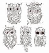 Chouette Coloriage Hibou Hiboux Mandala Visiter Chouettes sketch template