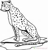 Cheetah Gepard Kolorowanki Bestcoloringpagesforkids Wydruku Kategorien ähnliche Malvorlagen sketch template