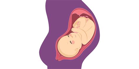 mitu baby official  tanda janin sehat