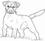 Russell Terrier Rat Supercoloring Ausmalbilder Adults Russel Newfoundland Coloriage Hunde Dentistmitcham sketch template