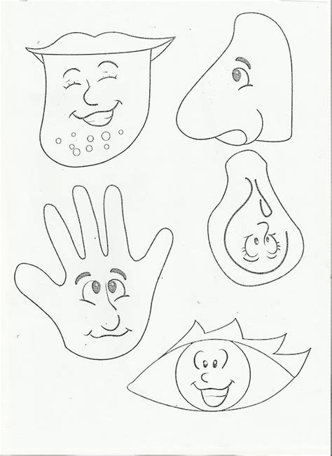 images   senses  pinterest worksheets  kindergarten