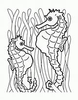 Seahorse Morski Konik Printable Seepferdchen Ausmalbilder Kolorowanki Colorare Pesci Marini Cavallucci Dzieci Dla Malvorlagen Wydruku sketch template