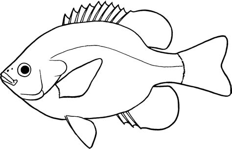 fish drawing pic drawing skill