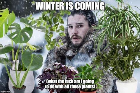 plant memes ideas   memes plant jokes gardening memes