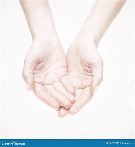 hands isolated  white royalty  stock photo image