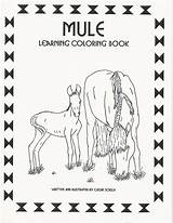 Mule Learning sketch template