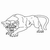 Panther Coloring Pages Printable Toddler Will Pink sketch template