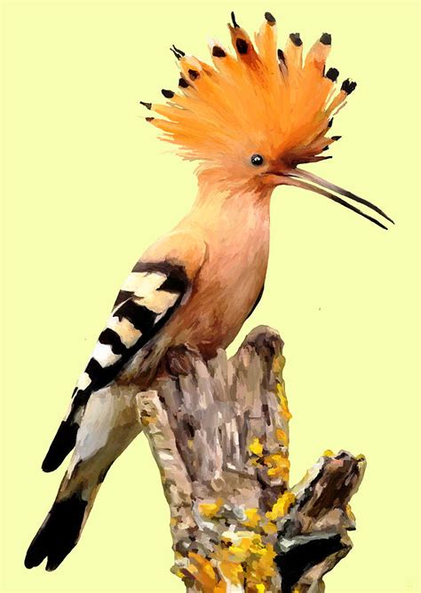 Hoopoe Bird Painting By Tafadzwa Ziona
