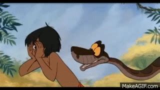 kaa  mowglis  encounter hd    gif